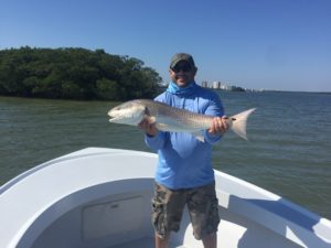 Redfish