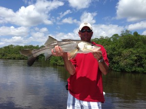 Fort Myers Snook