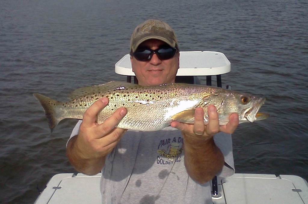 Fort Myers Spotted Sea Trout