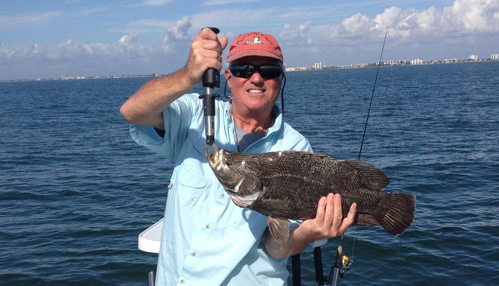 Fort Myers Tripletail