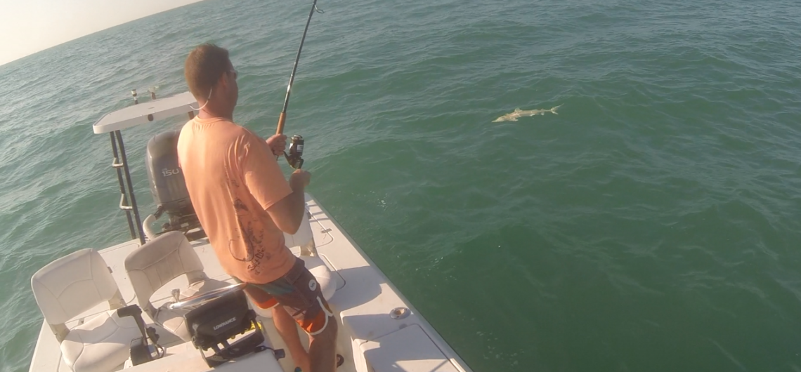 Fort Myers Fishing Report 4-29-14