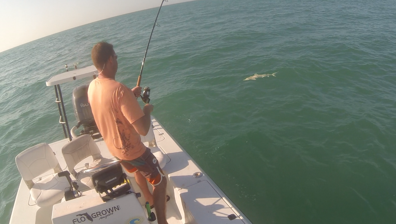 Fort Myers Fishing Report 42914 Calusa Fishing Adventures