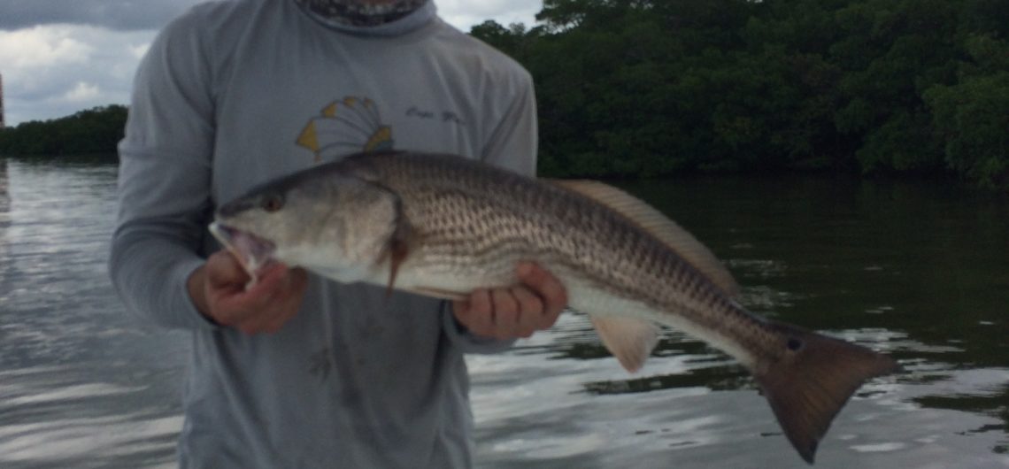 Fort Myers Fishing Charters