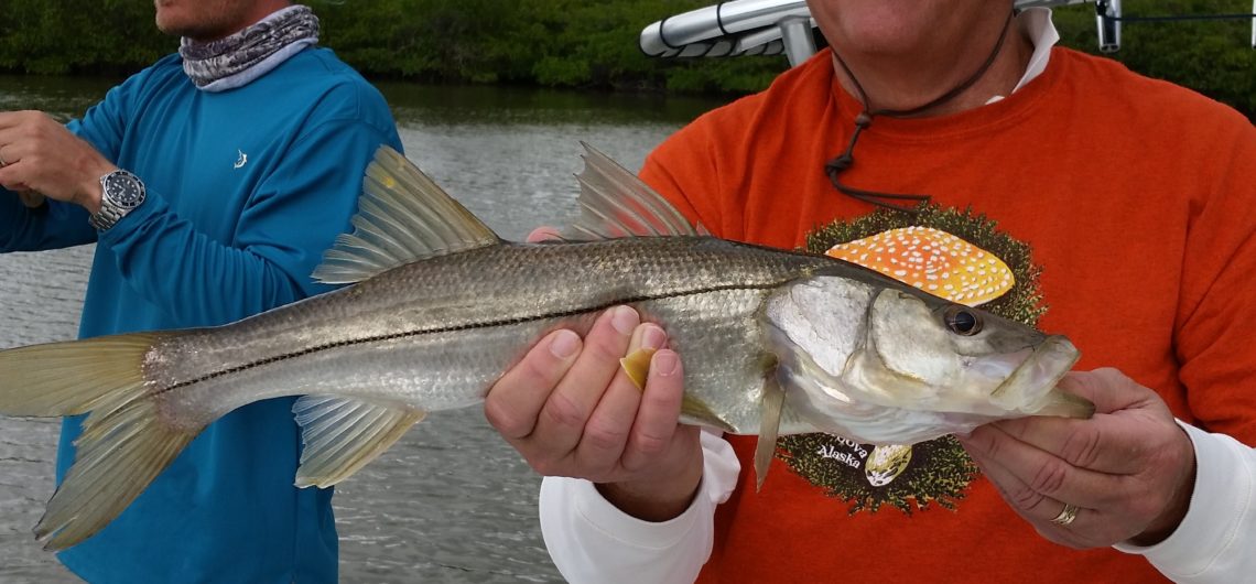 Fort myers fishing report 1-13-15