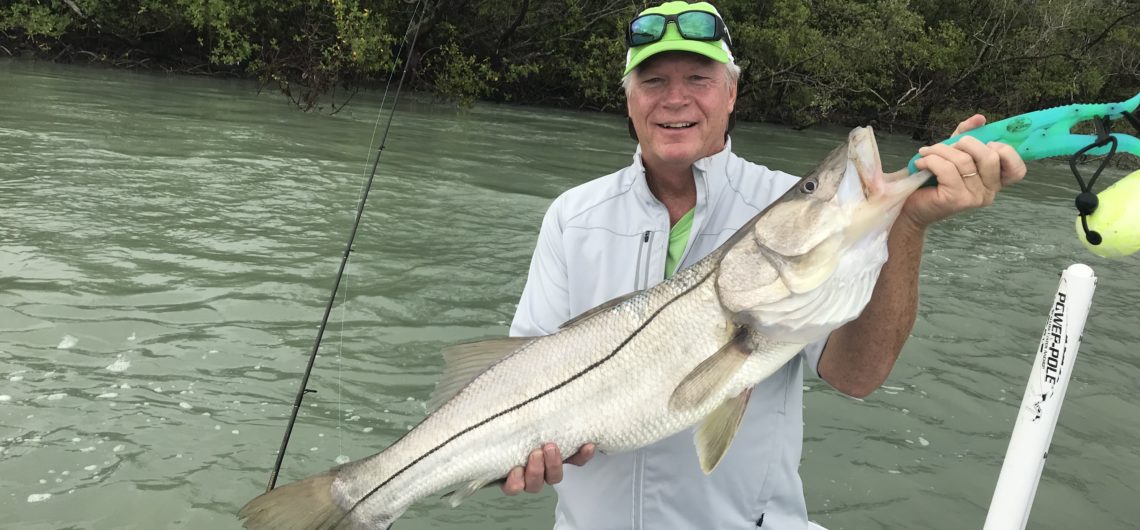 Snook Fishing In Southwest Florida