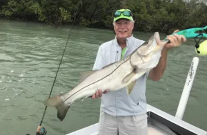 snook fishing estero Florida